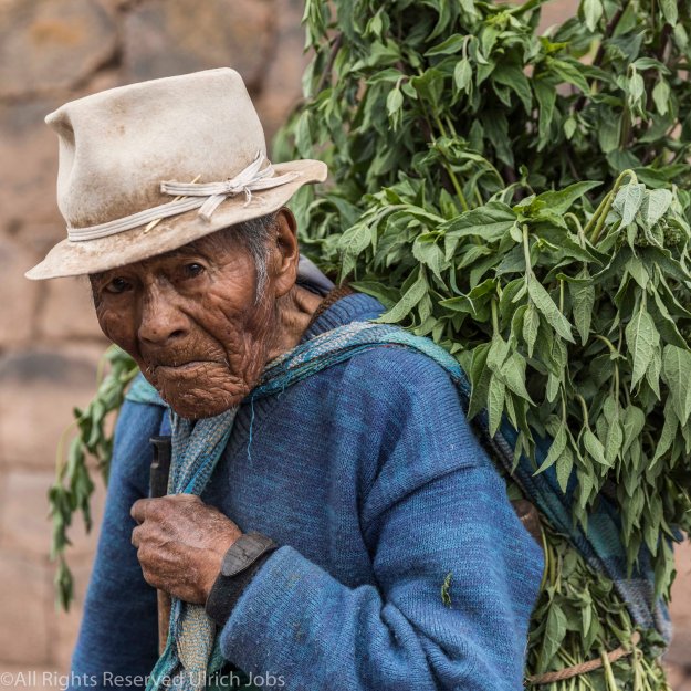 20170110_UJ-Peru-_Lake_Titikaka_Colca_Canyon0458