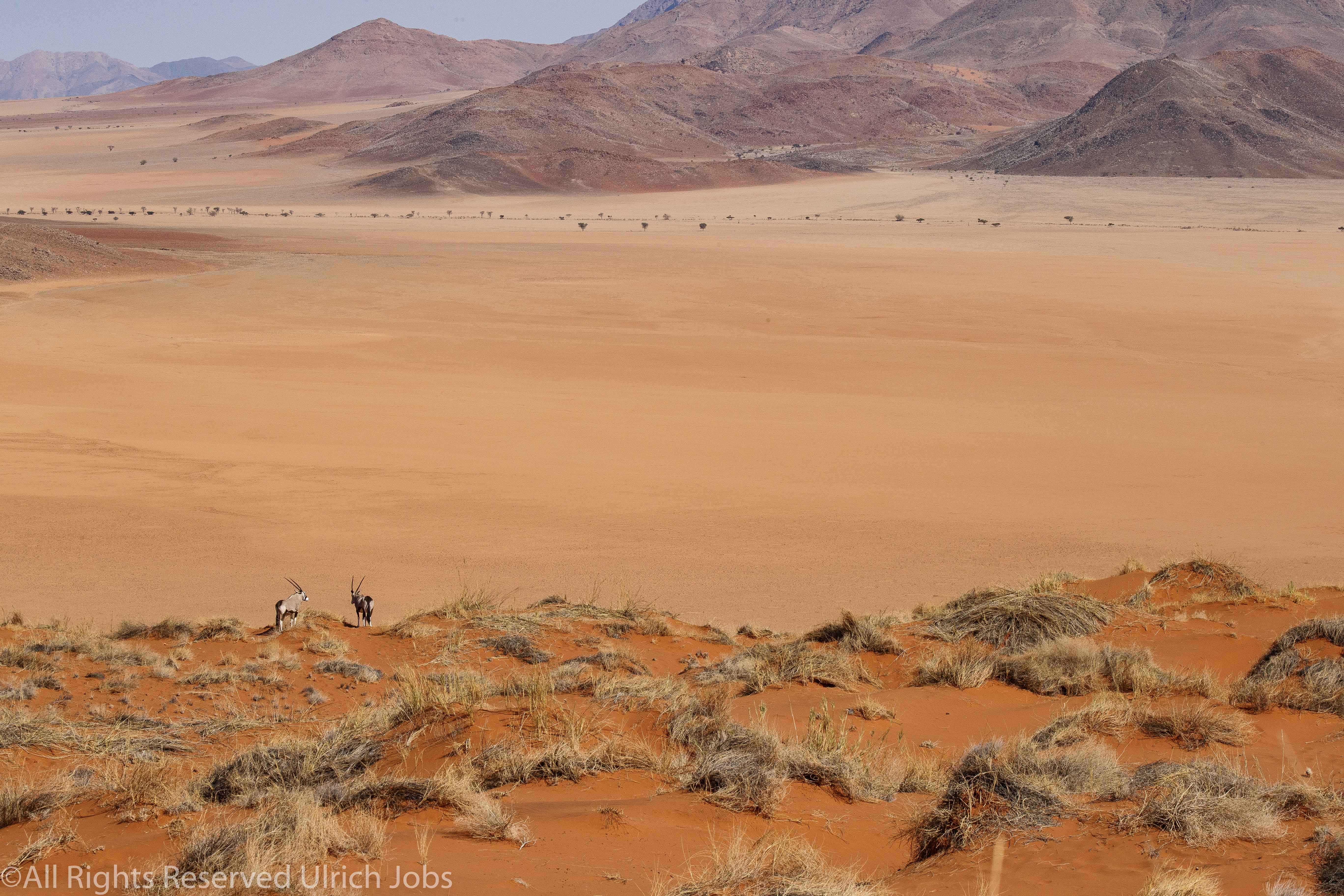 20170709NamibRandWolwedansDunesCamp0041-2