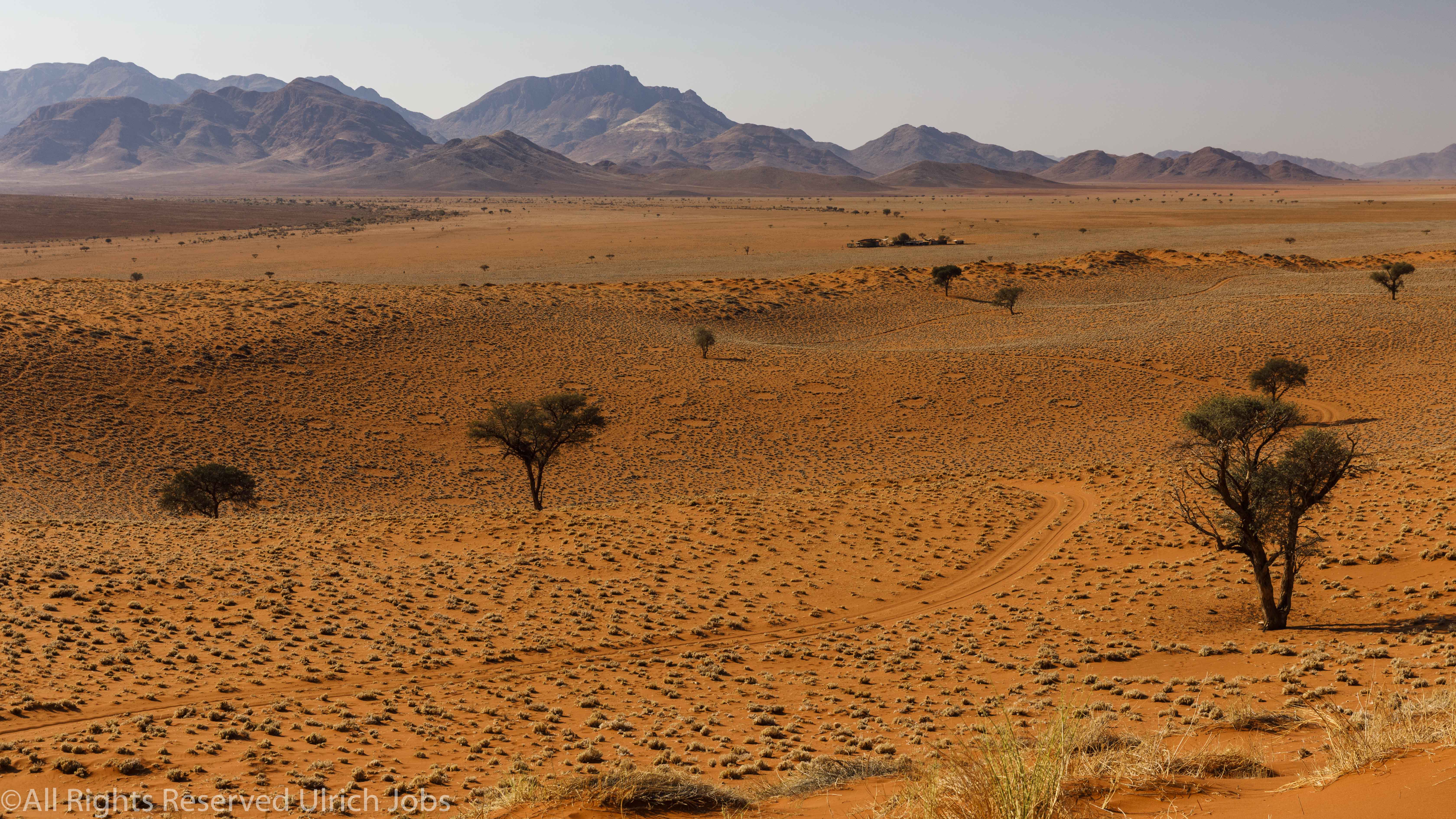 20170709NamibRandWolwedansDunesCamp0051