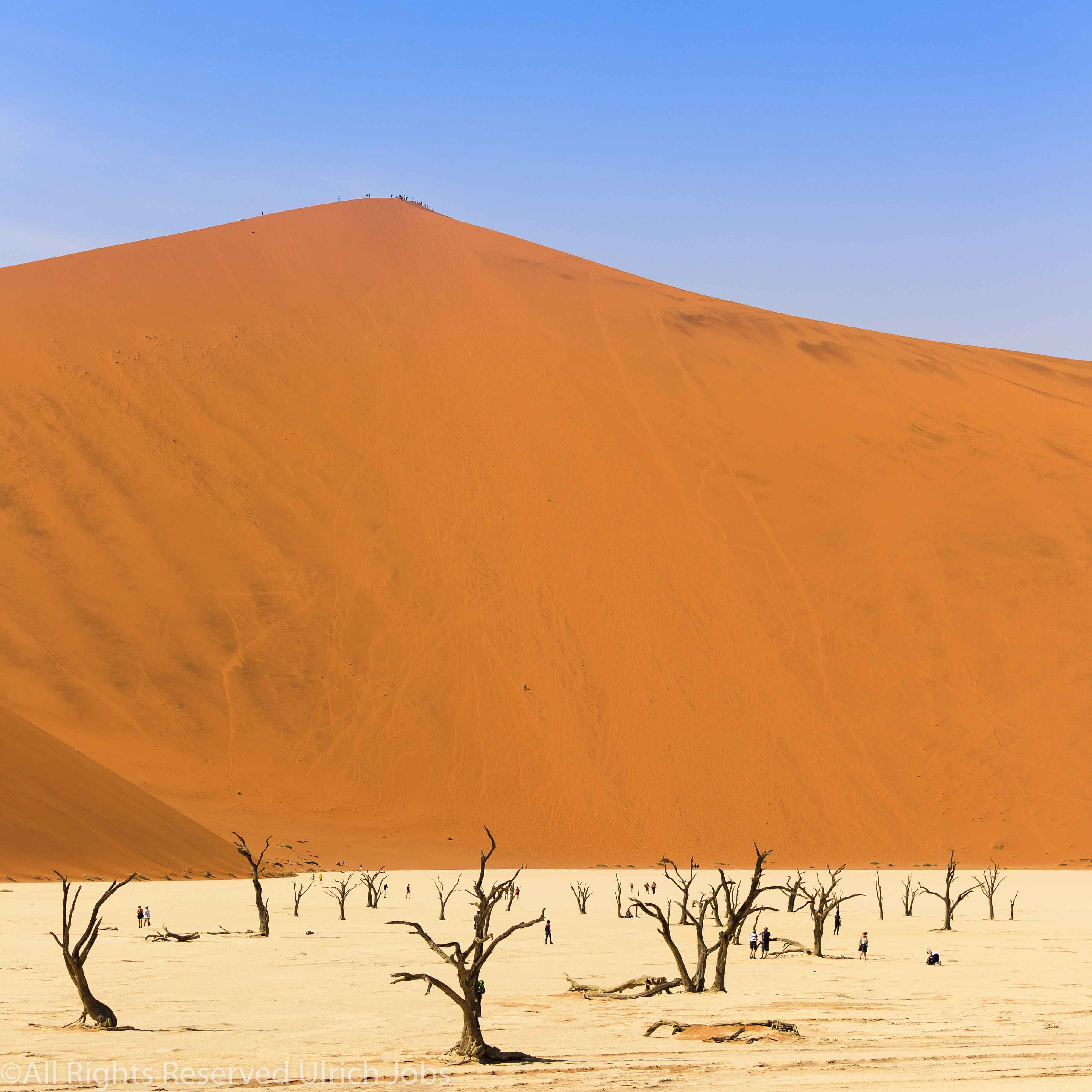 20170712SOSSUSVLEI0061