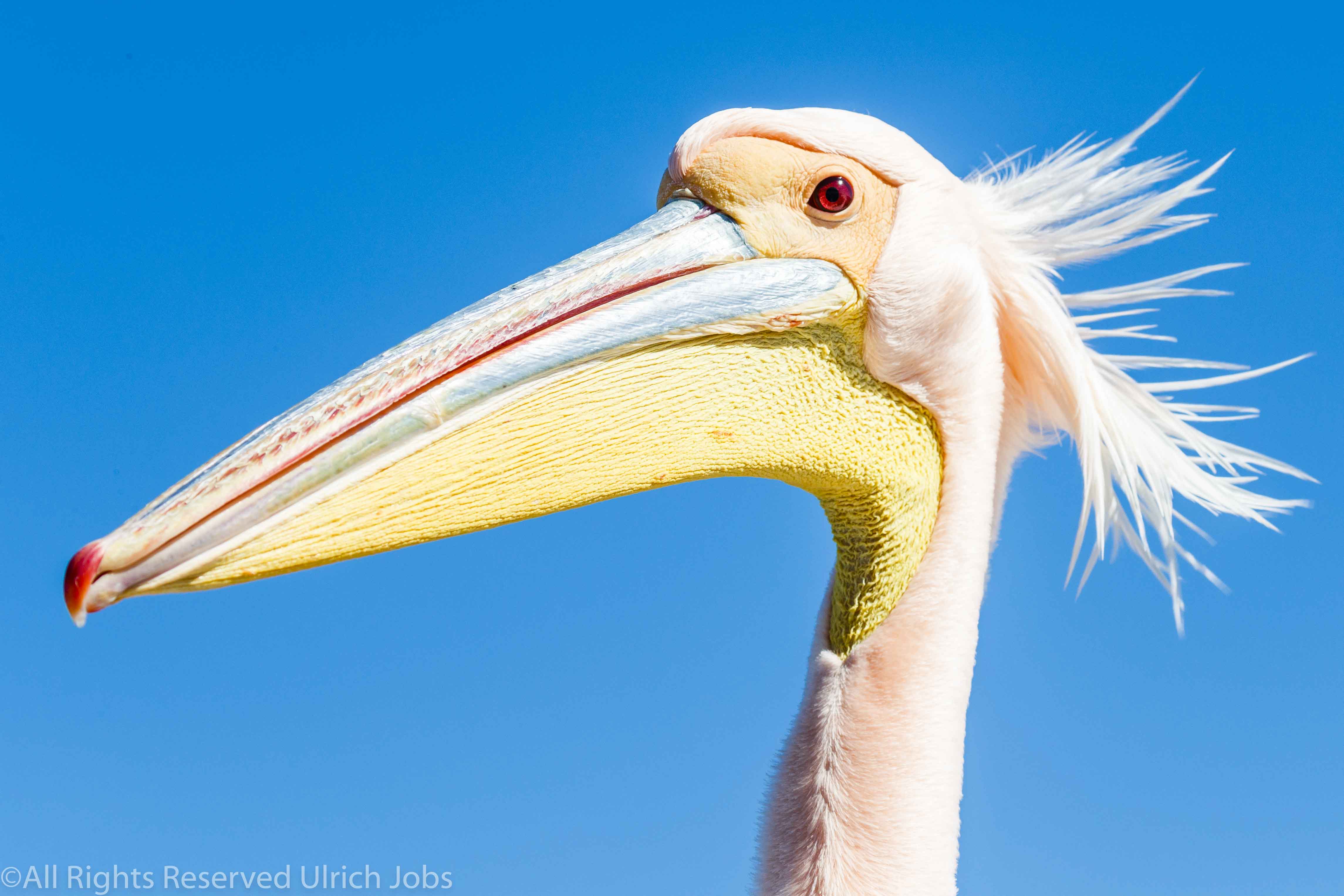 20170716Swakopmund_Ovango0002