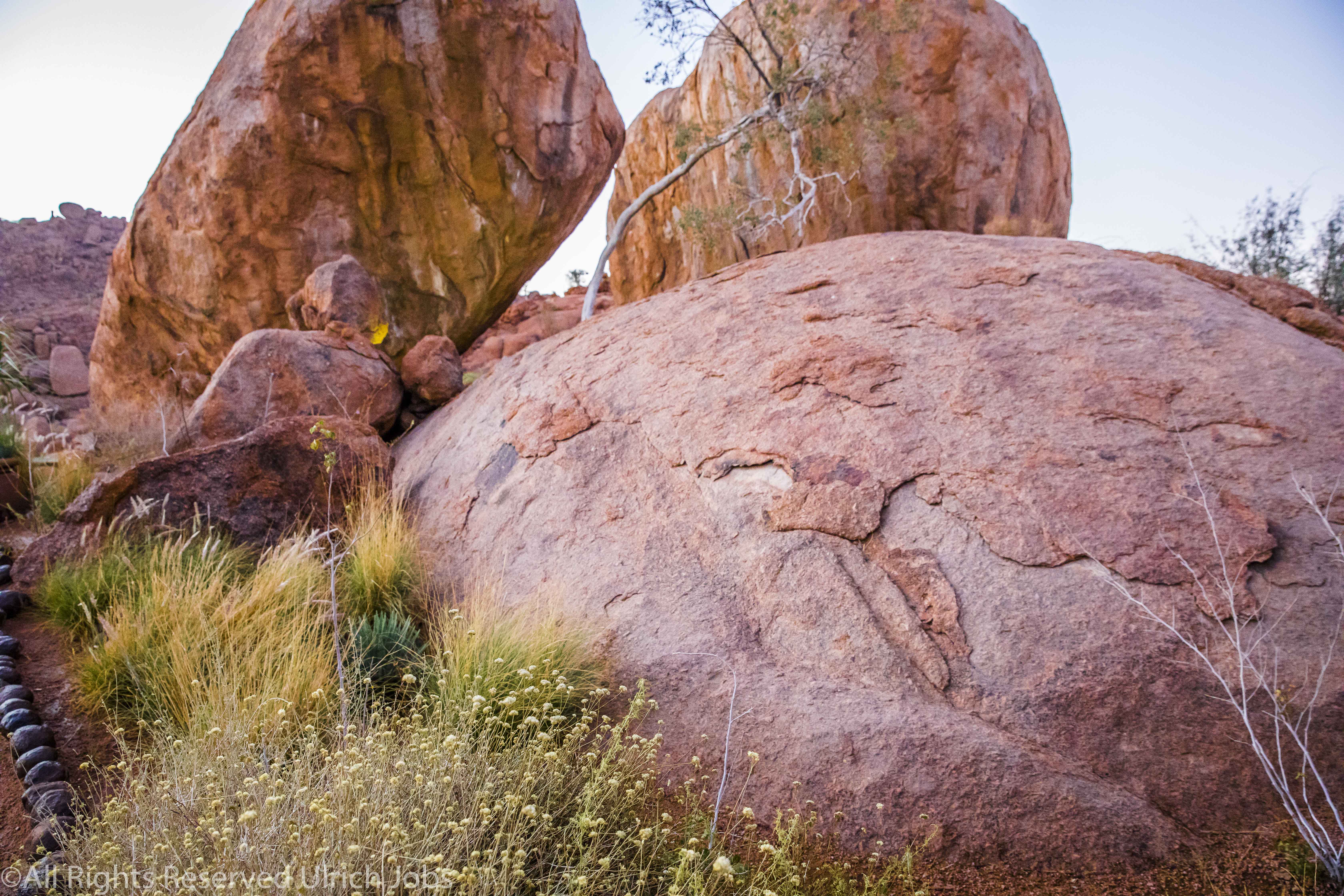 20170721MowaniMountain0040