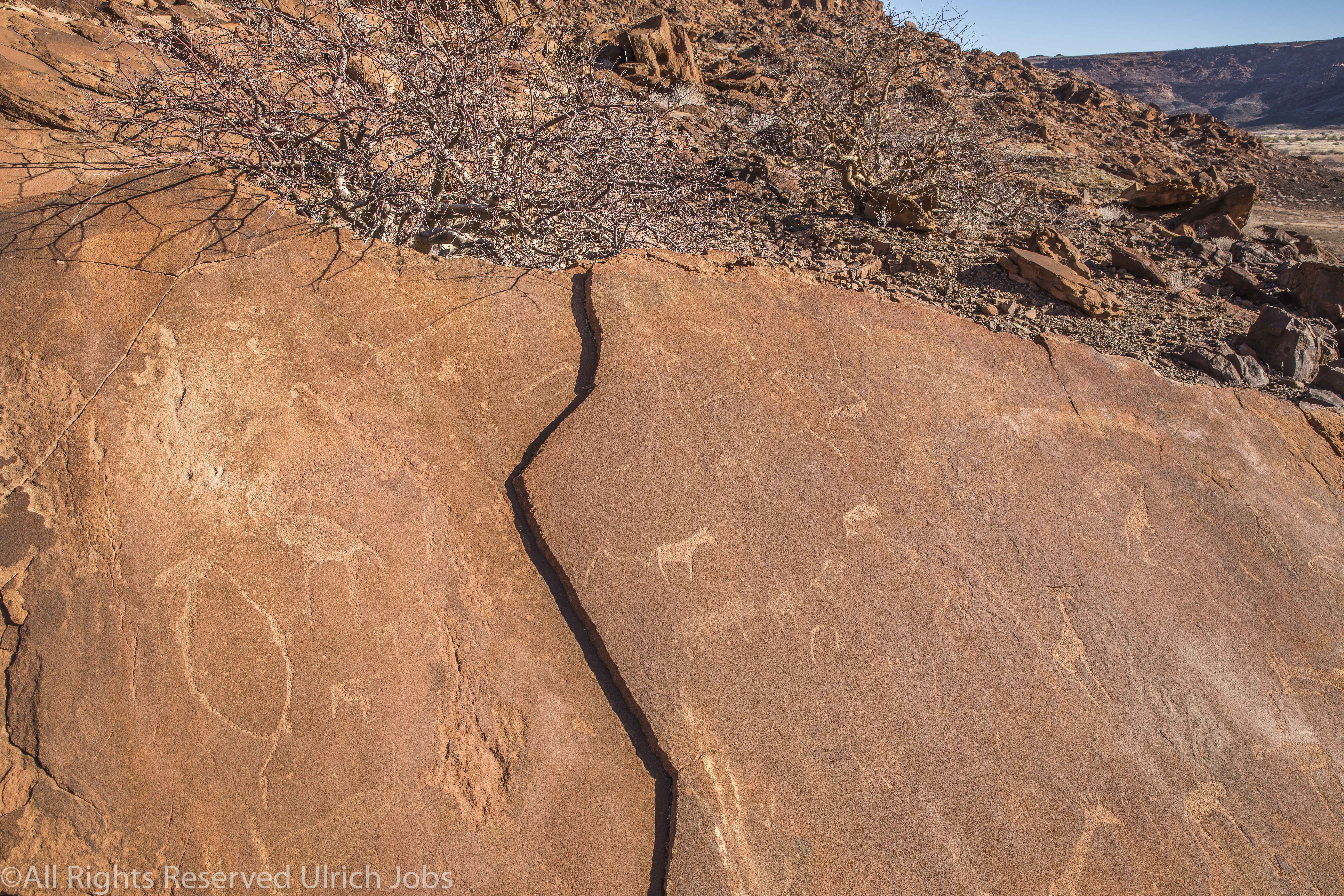 20170721MowaniMountain0095