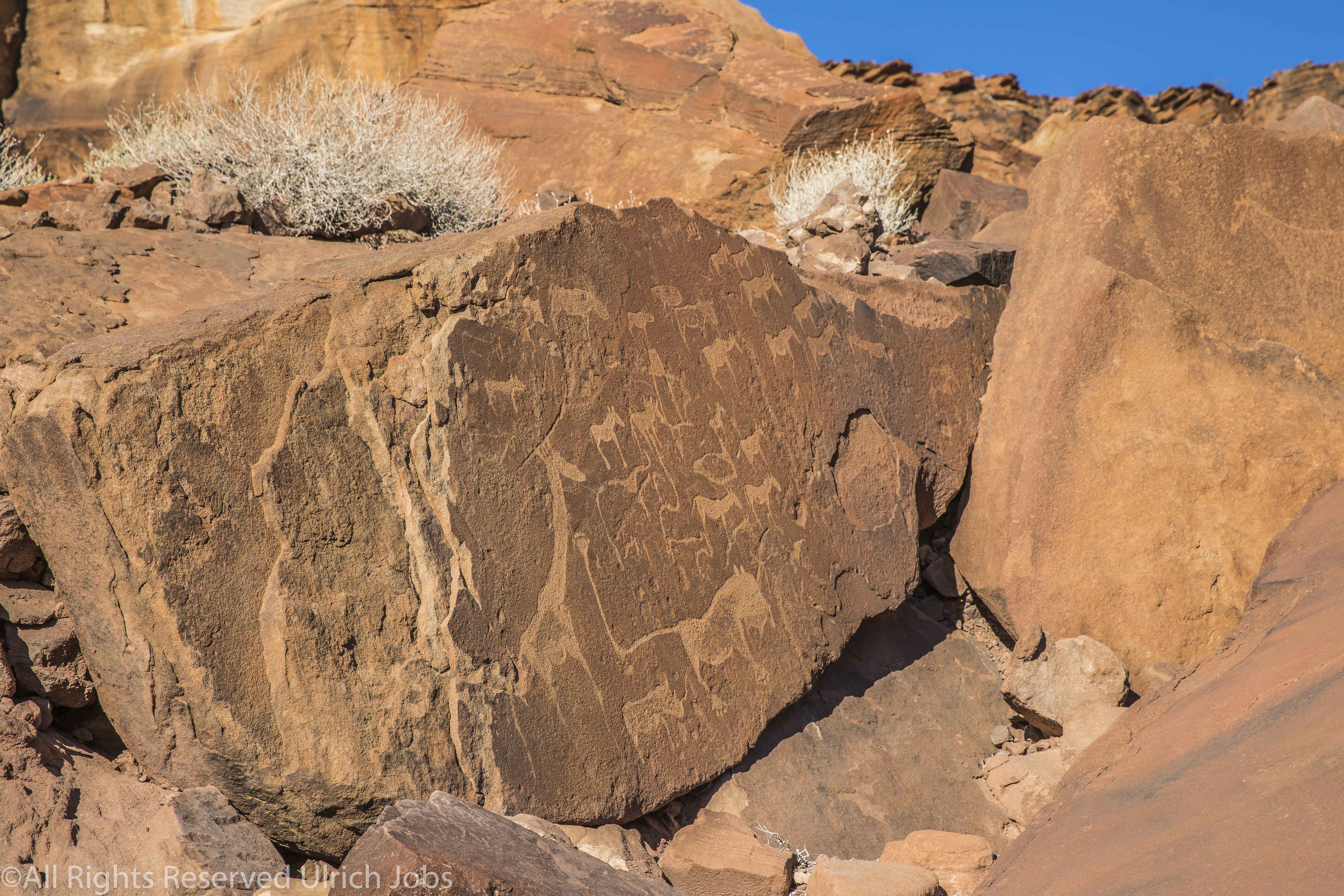 20170721MowaniMountain0101