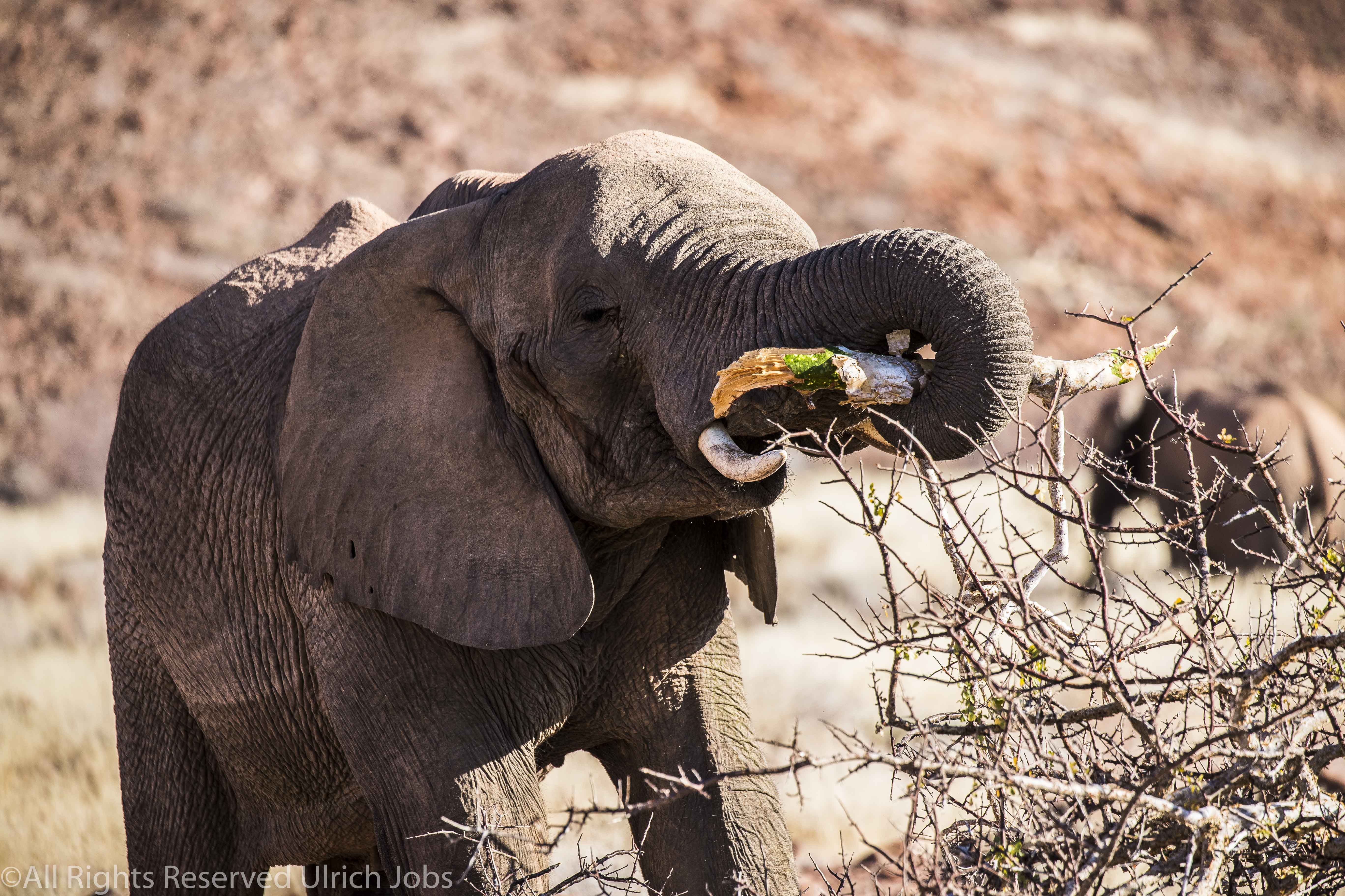 20170721Swakopmund_Ovango0045