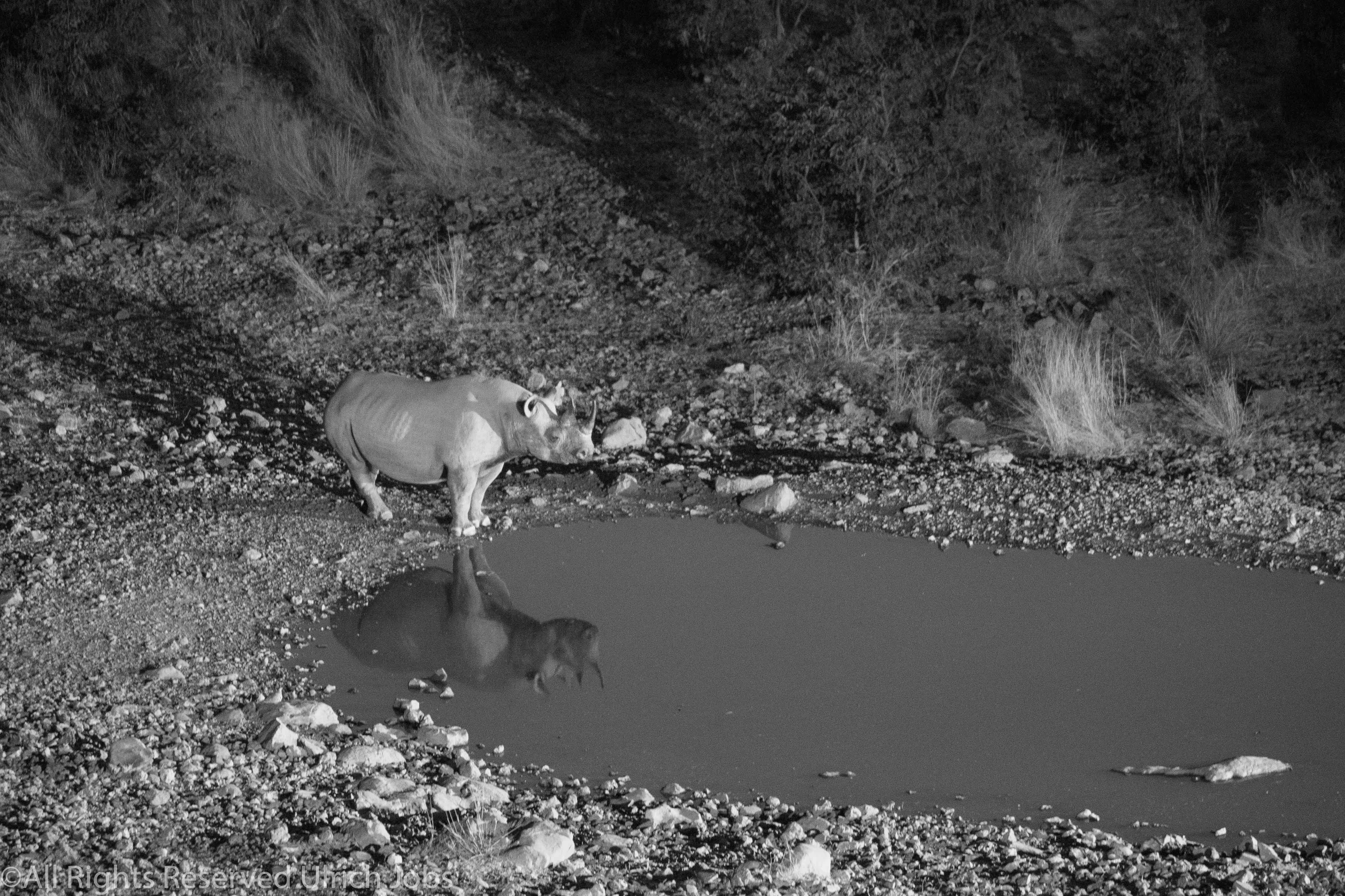 20170722Swakopmund_Ovango0234