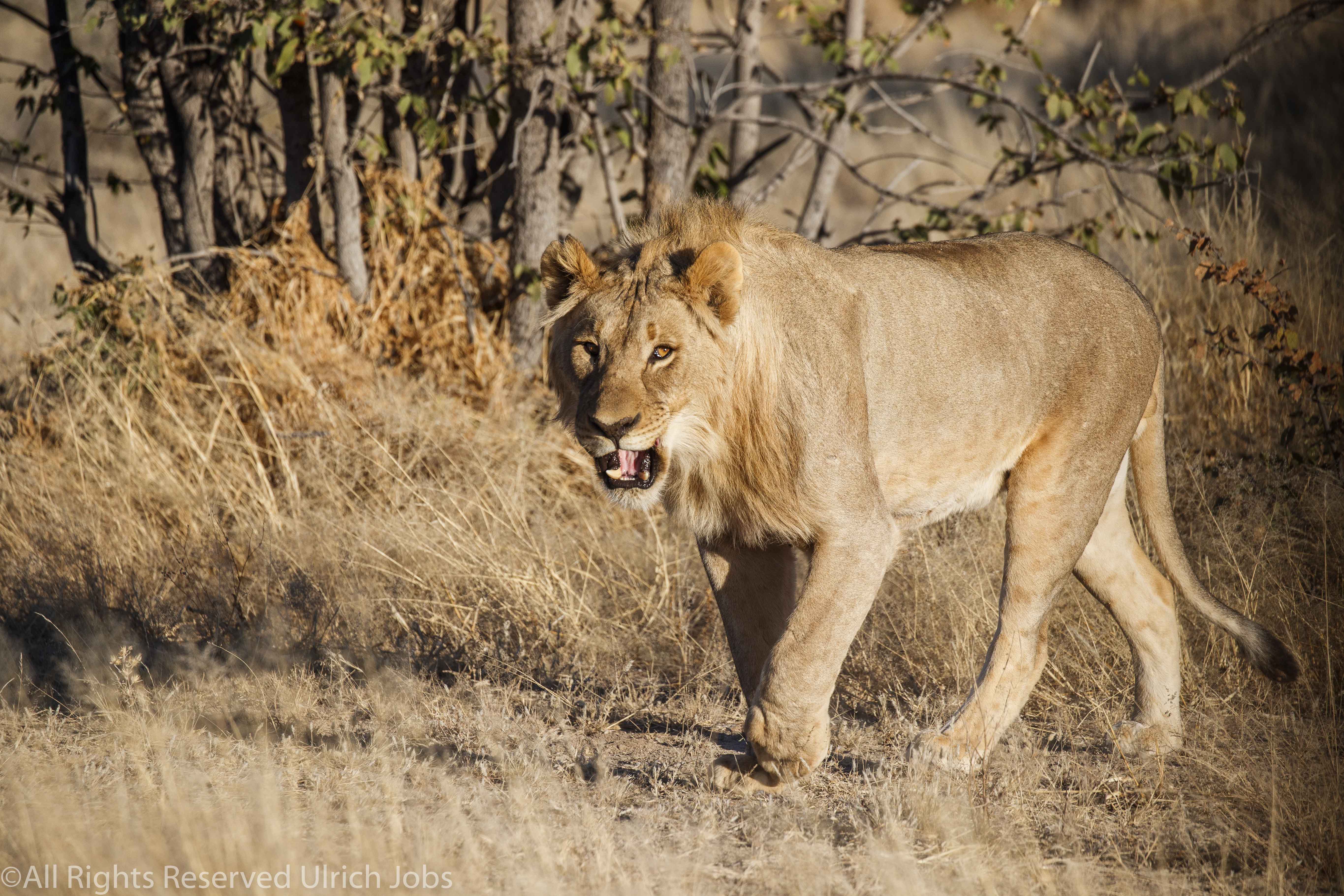20170723Swakopmund_Ovango0283