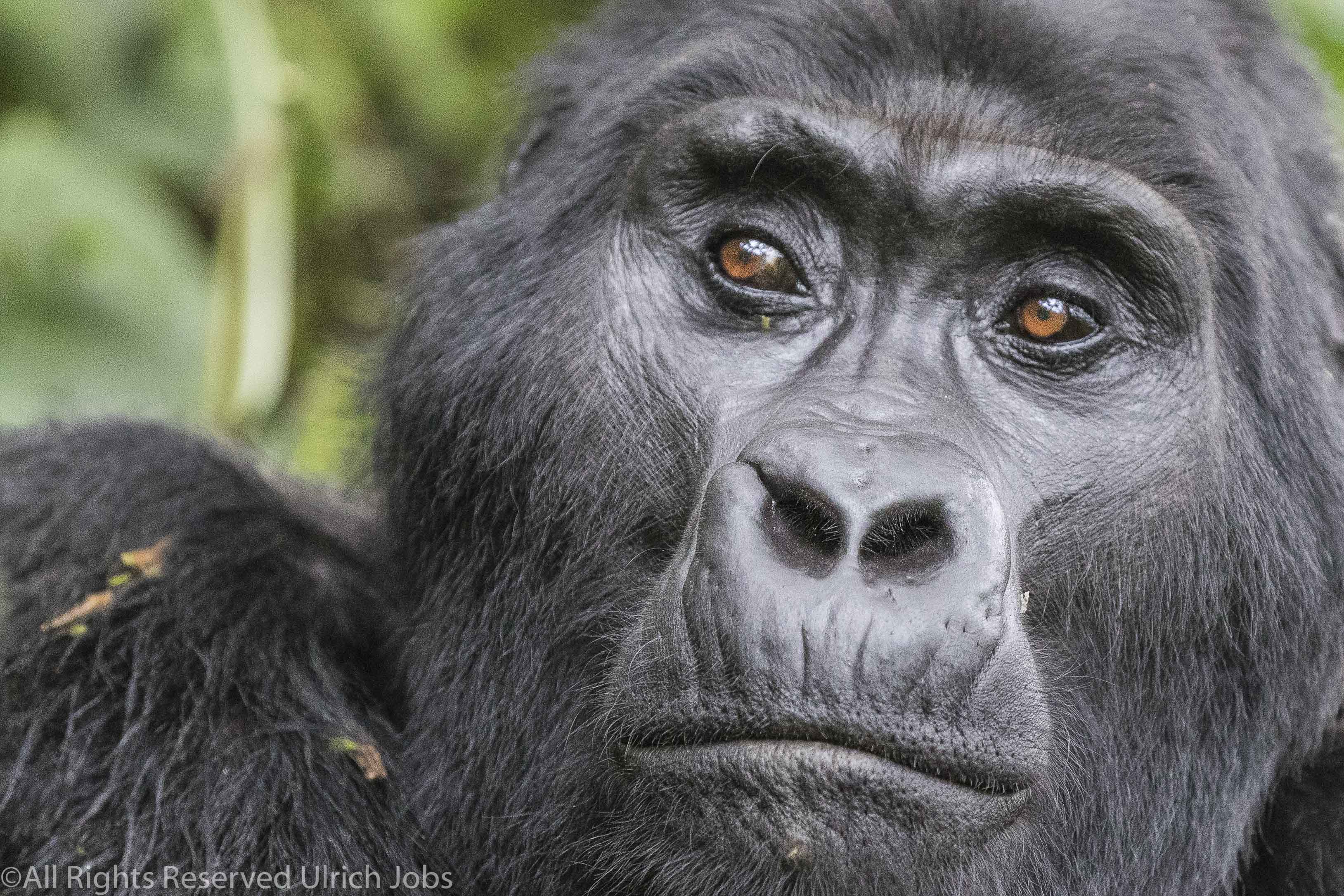 20170904UJ-UGANDA-Bohuma0161