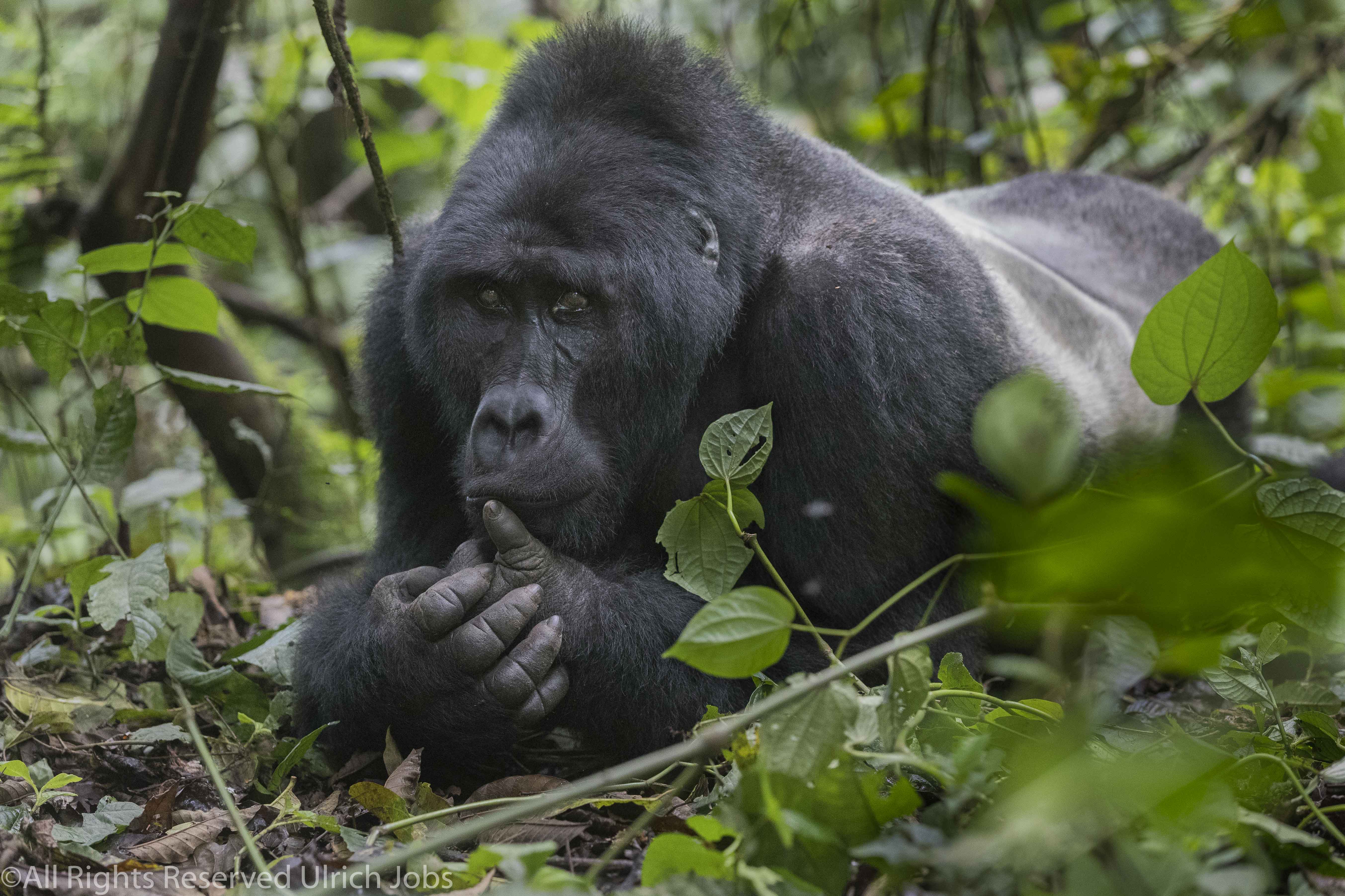 20170905UJ-UGANDA-Bohuma0029