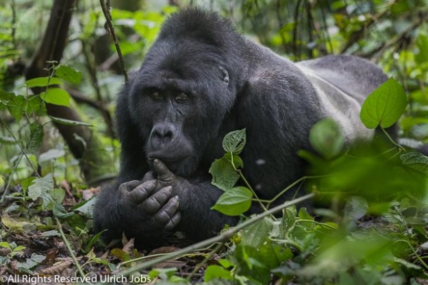 20170905UJ-UGANDA-Bohuma0029
