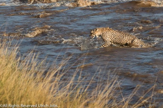 20170911UJ-Kenya-MaraBushCamp0023-3