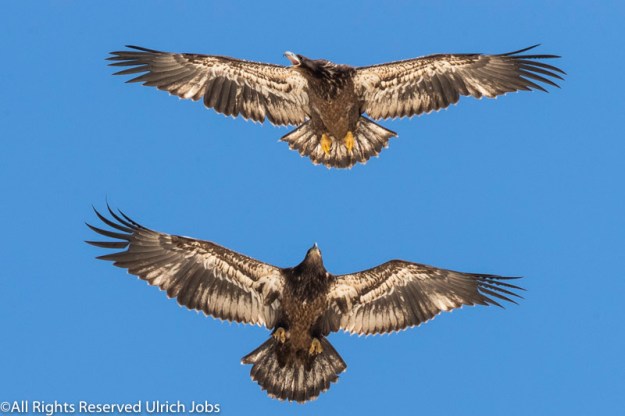 20180415_UJ_Houston_untitled shoot_0533.jpg