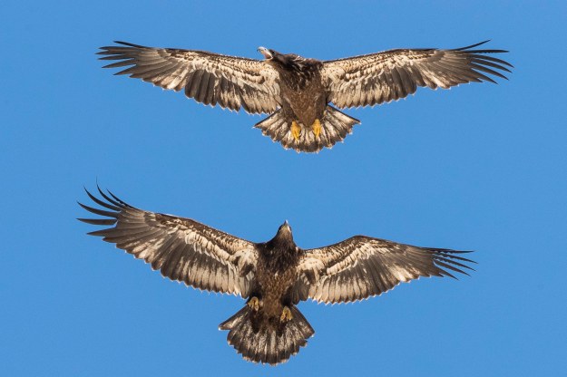 20180415_UJ_Houston_untitled shoot_0533