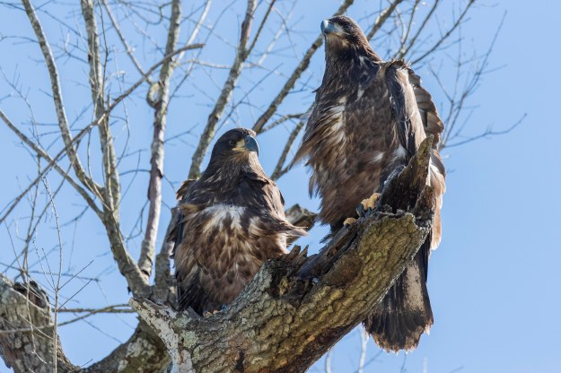 20180415_UJ_Houston_untitled shoot_0901