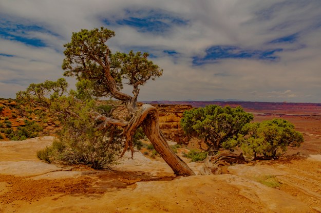 20180521_UJ_USA__Moab_0072