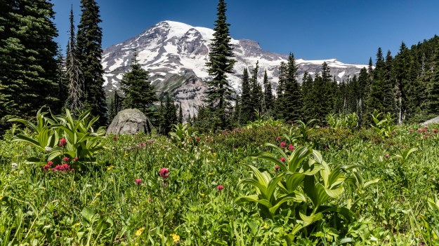 20180725_UJ_USA__Many_0037