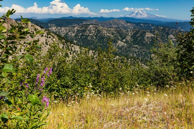 20180727_UJ_USA__Many_0122