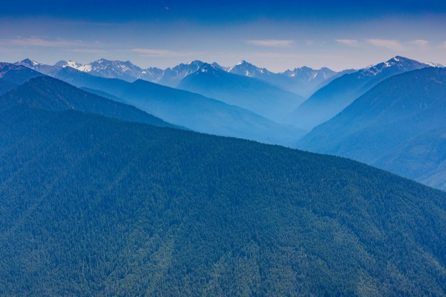 20180801_UJ_USA__Many_0129