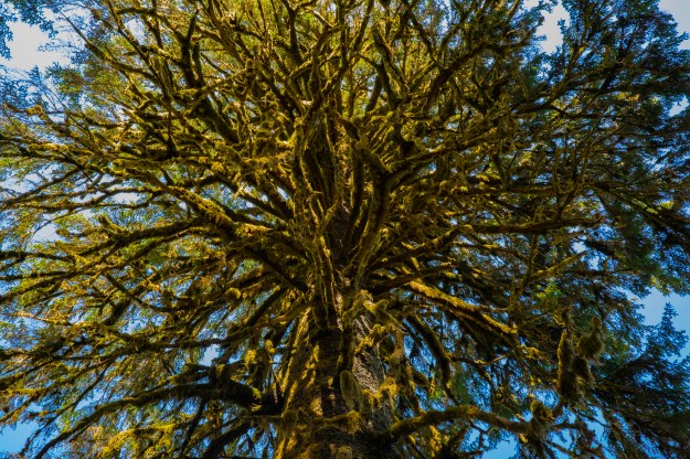 20180803_UJ_USA__Many_0132