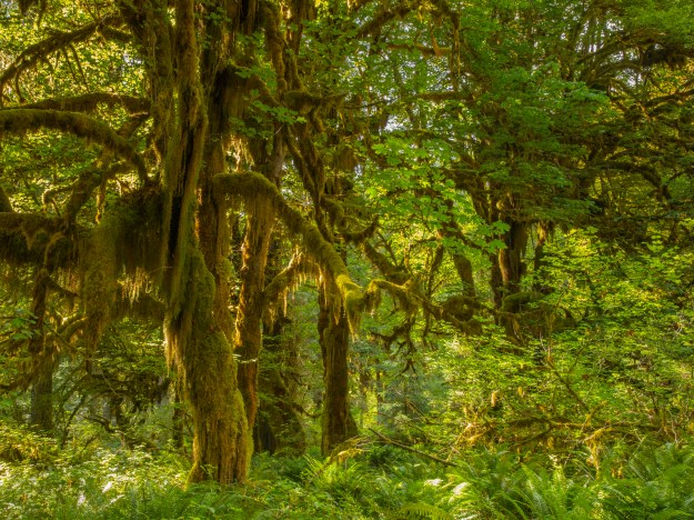 20180803_UJ_USA__Many_0154