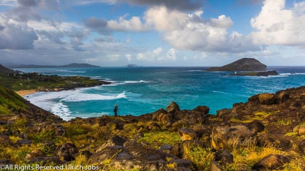 20190131_UJ_Hawaii__Wild Hawaii_0027