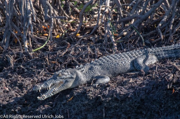 20190422_UJ_Kimberley__DrysdaleRiver_0028