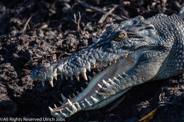 20190422_UJ_Kimberley__DrysdaleRiver_0052