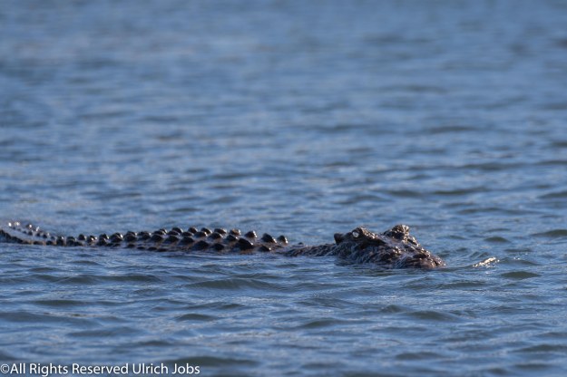 20190423_UJ_Kimberley__DrysdaleRiver_0088