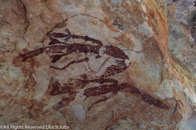 20190425_UJ_Kimberley__SwiftBay_0025