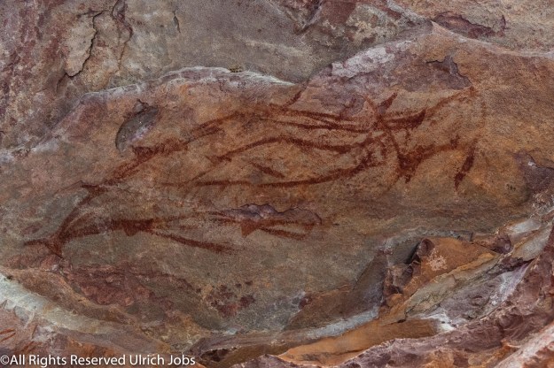 20190425_UJ_Kimberley__SwiftBay_0075