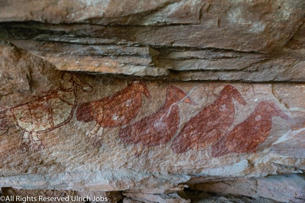 20190426_UJ_Kimberley__SwiftBay_0277