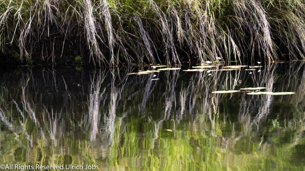 20190429_UJ_Kimberley__PrinceRegentRiver_0019