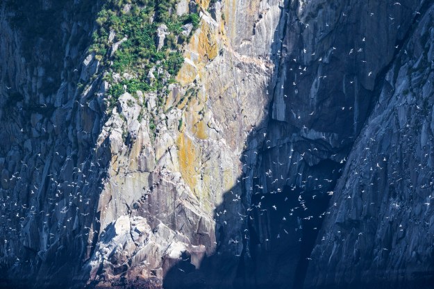 20190619_UJ_Bering_Alaska0026