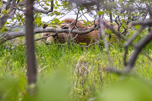 20190630_UJ_Bering_Petropavlovsk0058