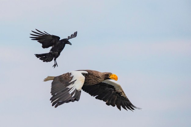 20190630_UJ_Bering_Zhupanova_River0097