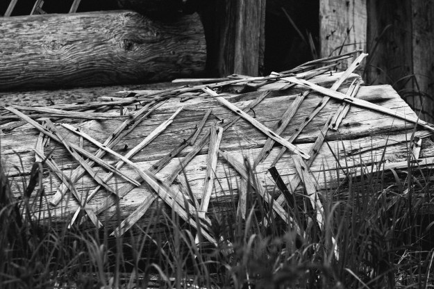 20190704_UJ_Bering_South_Glubokaya_Bay0018