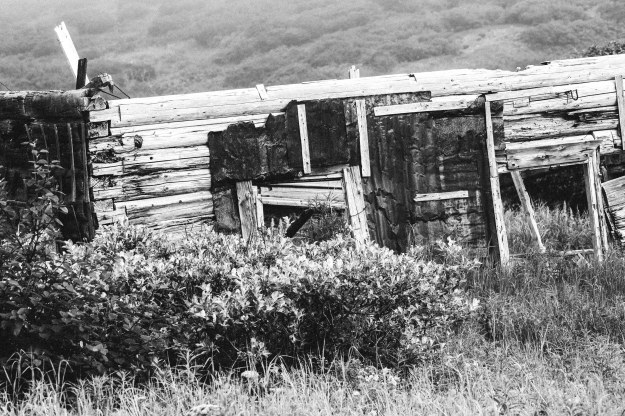 20190704_UJ_Bering_South_Glubokaya_Bay0025