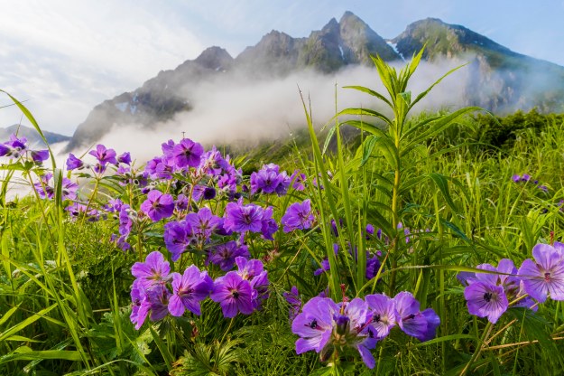 20190704_UJ_Bering_South_Glubokaya_Bay0047-2