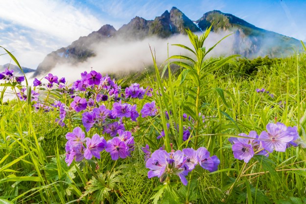 20190704_UJ_Bering_South_Glubokaya_Bay0047