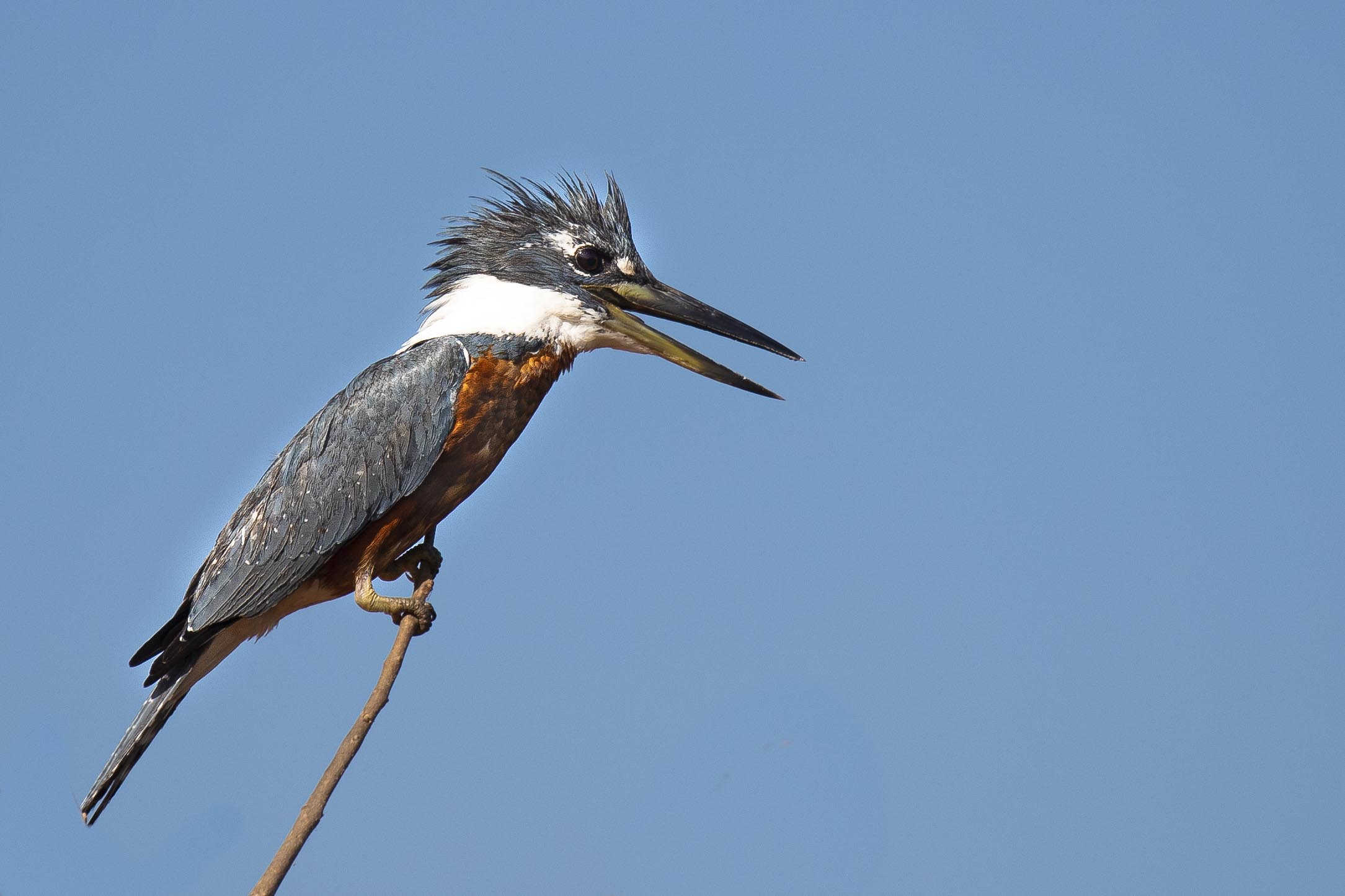 20190715_UJ_Pantanal_Rio_Claro_10016