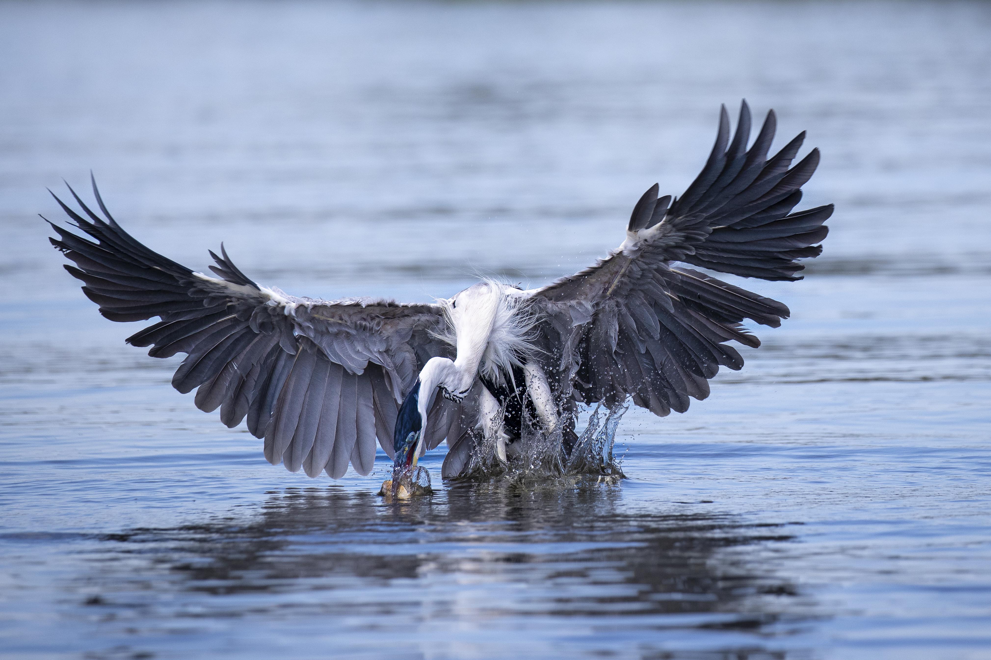 20190715_UJ_Pantanal_Rio_Claro_10108