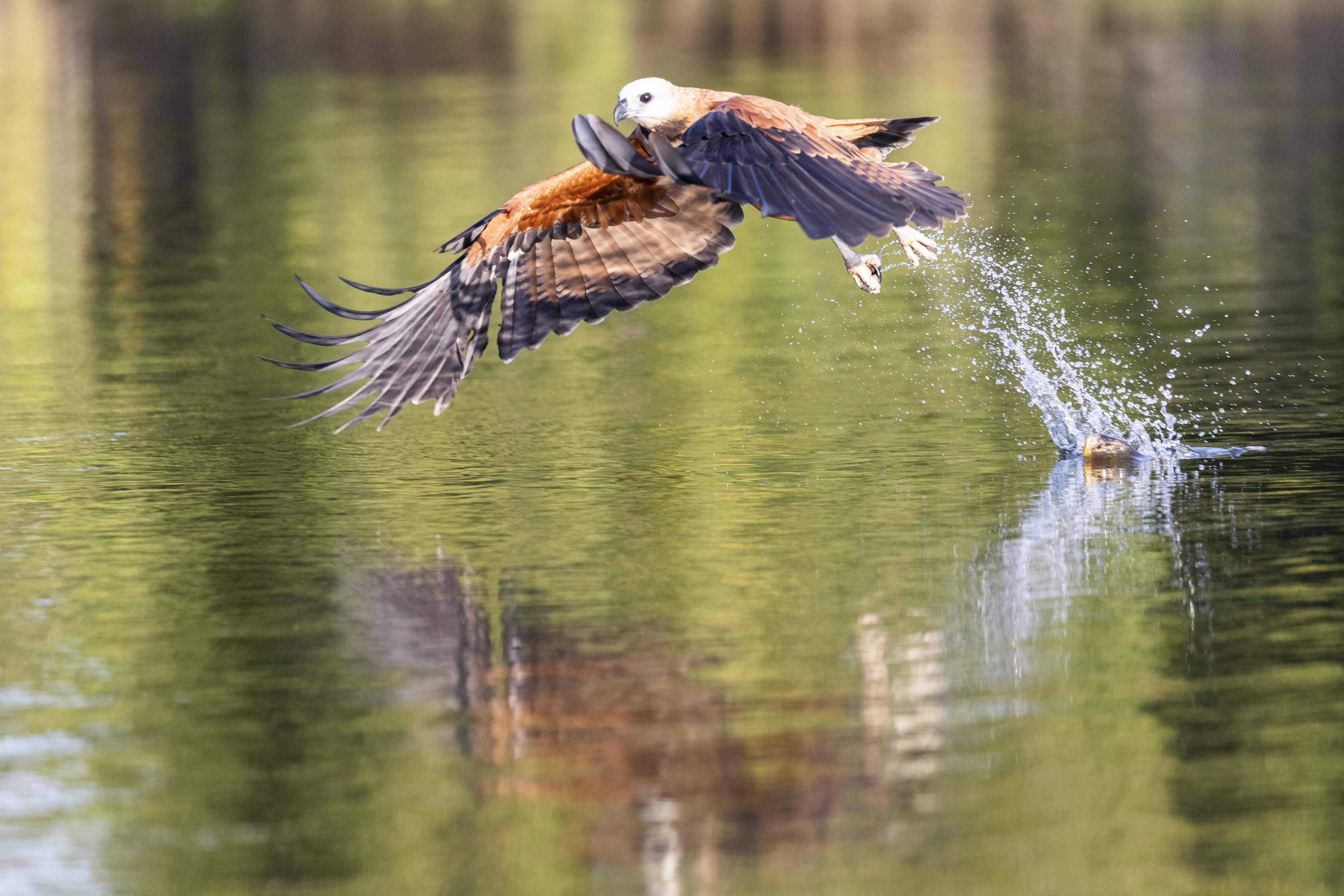 20190716_UJ_Pantanal_Rio_Claro_20044-3