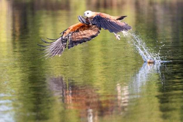 20190716_UJ_Pantanal_Rio_Claro_20044-3