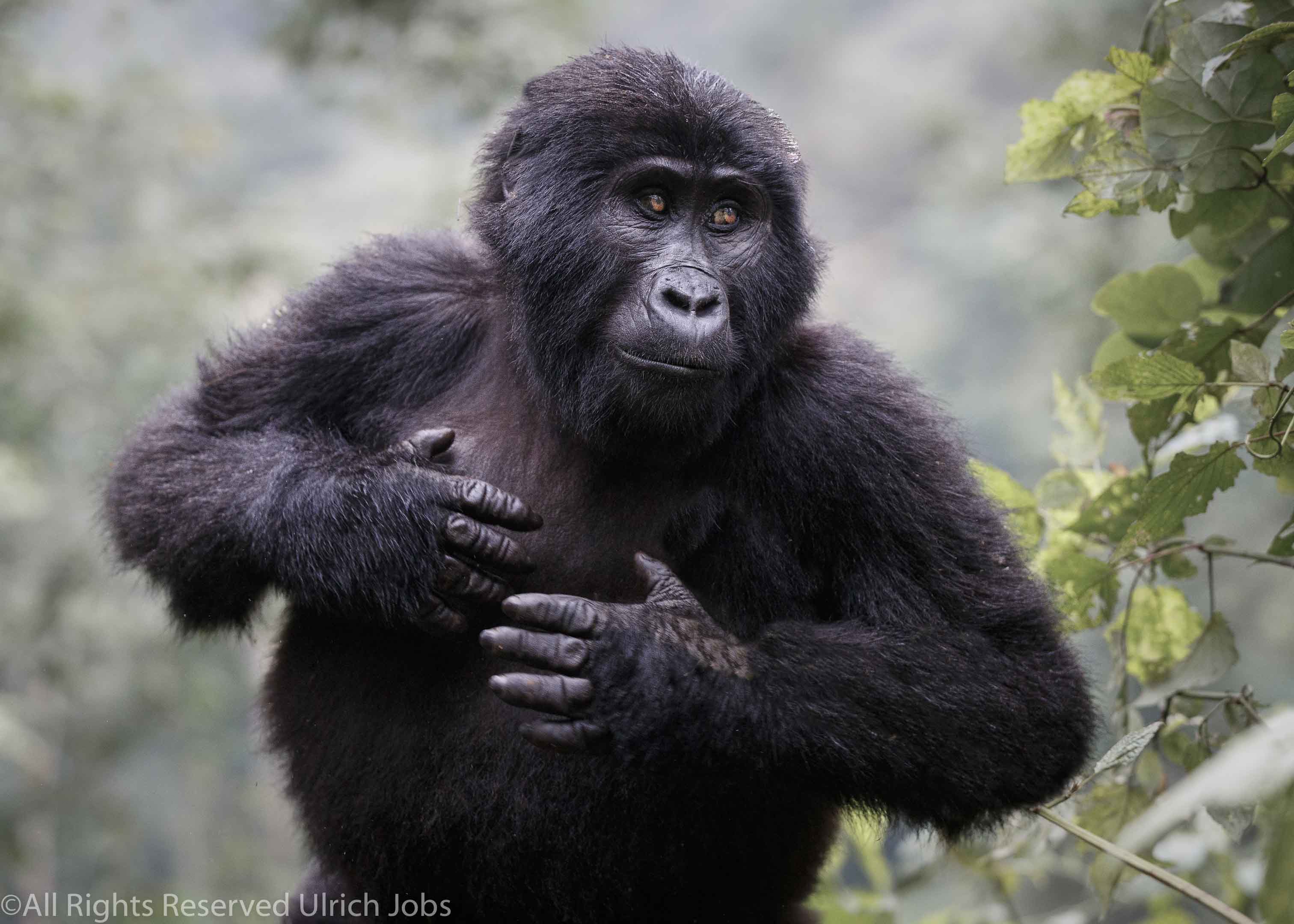 20170904UJ-UGANDA-Bohuma0211-PSedit-2