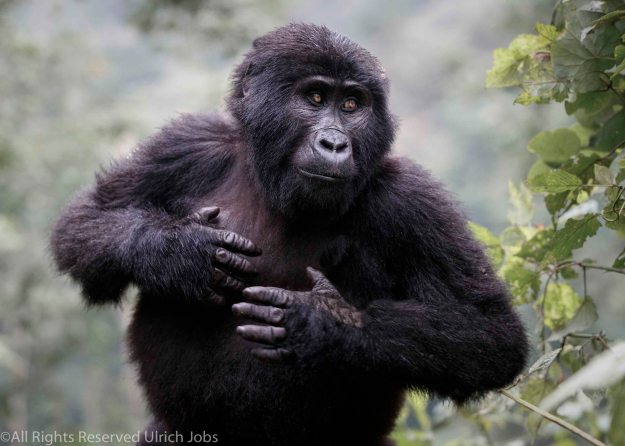 20170904UJ-UGANDA-Bohuma0211-PSedit-2