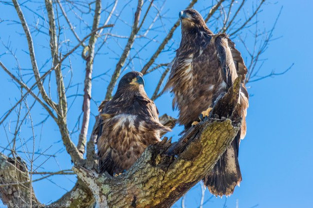 20180415_UJ_Houston_untitled shoot_0901