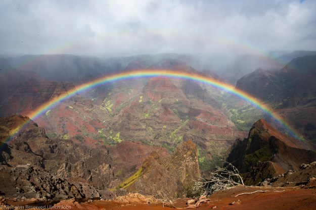 Waimea Canyon State Park