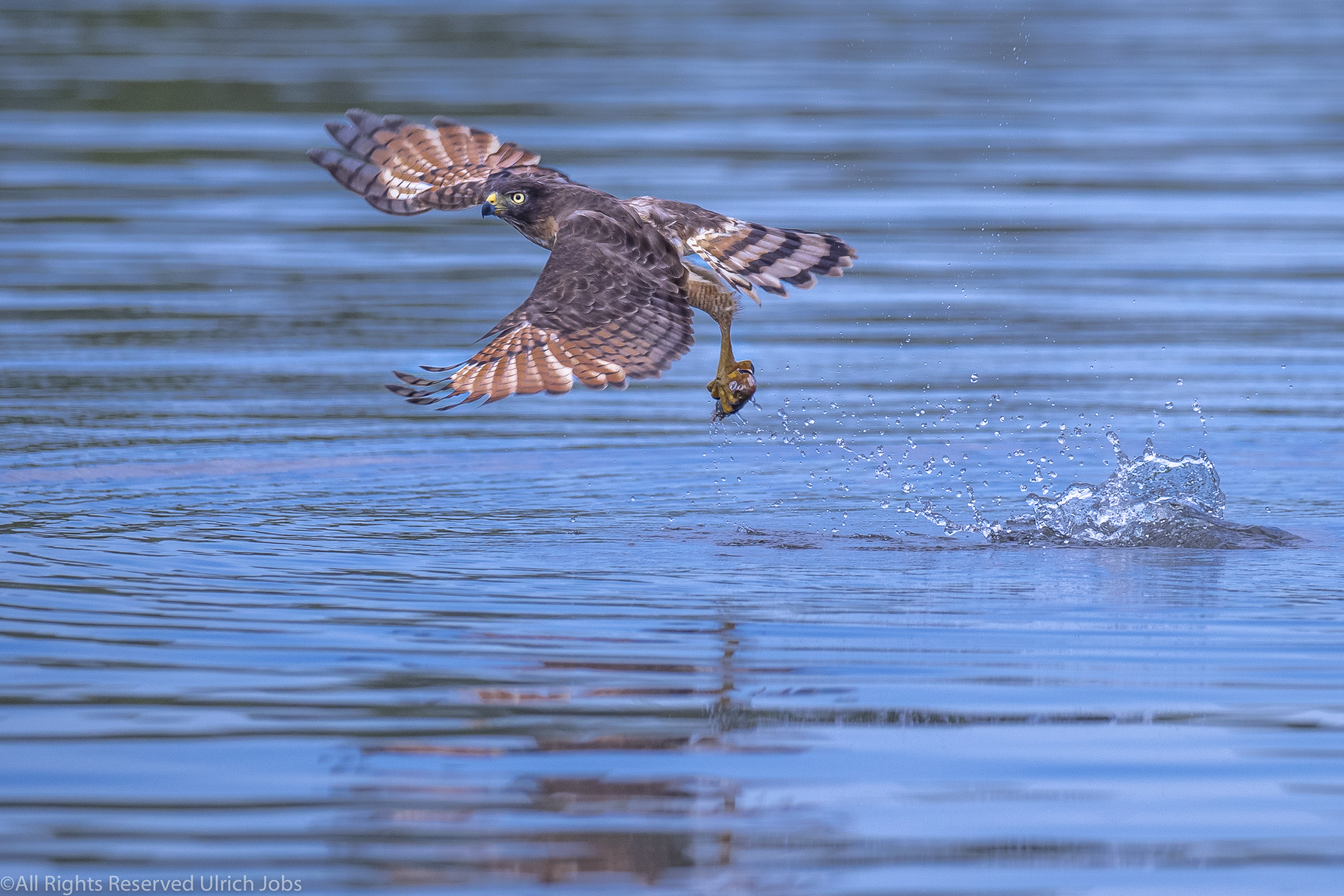 20190715_UJ_Pantanal_Rio_Claro_10149